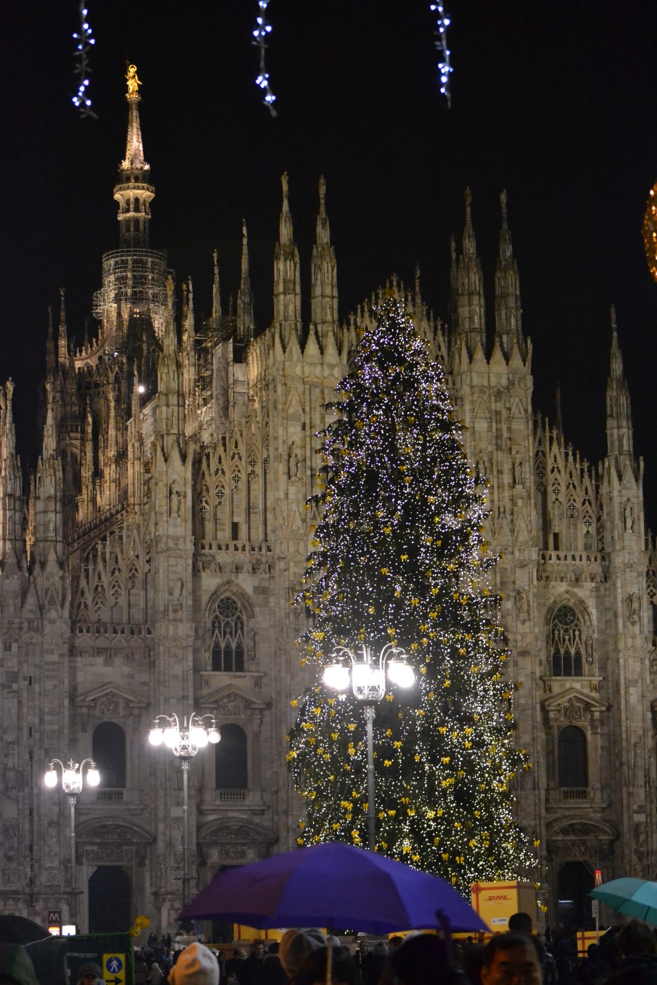 L'albero di Natale illuminato in Piazza Duomo a Milano davanti alla cattedrale